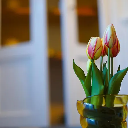 Haus Daniela Oberstadt Apartman Cochem