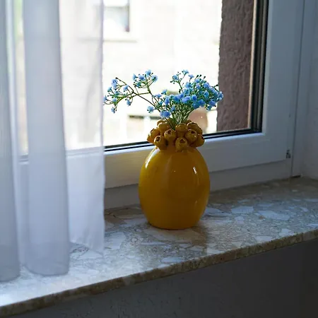 Apartman Haus Daniela Oberstadt *