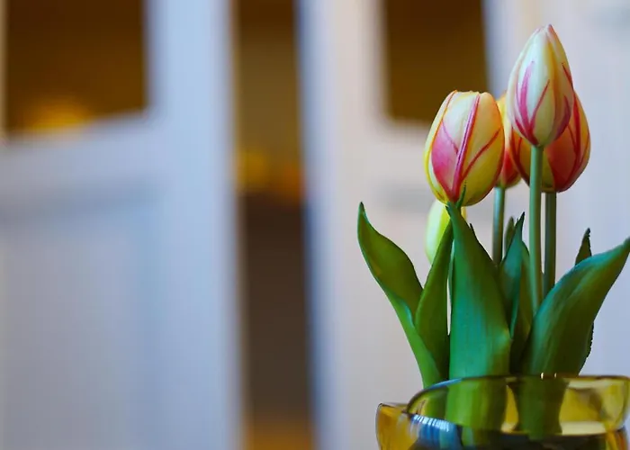 Haus Daniela Oberstadt アパート コッヘム